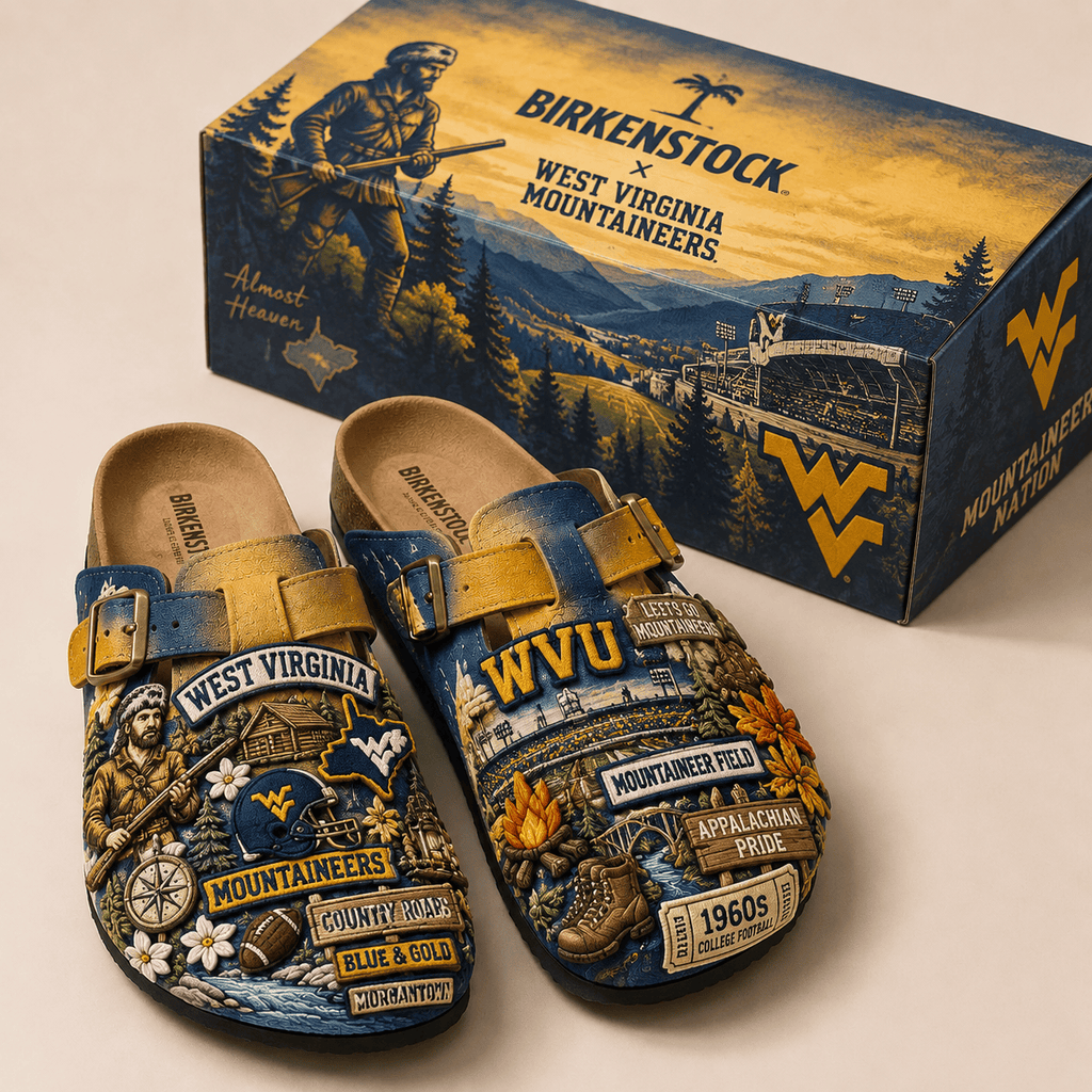 PREMIUM WVM MINK SUEDE CLOGS TTNL